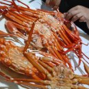 [삼산동] 주문진대게회타운 맛집 후기