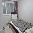 중앙동229 이미지