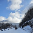 무등산 증심사-바람재-늦재-장불재-중머리재 코스 눈꽃 비경 산행/2025.1.30.목(2/2) 이미지