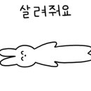 주현교육