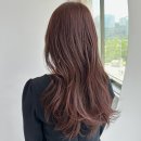 분당 여름맞이 레드브라운염색과 레이어드커트 리미띠에헤어 정하