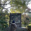 [10월 제주여행] #2 둘째날 - 스누피가든 / 우도 전기차 대여 / 감성숙소 다이빙맛 / 제주스럽닭 댕귤...
