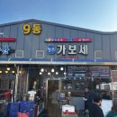 천북4 | 겨울에 꼭 가야 하는 천북 굴단지 맛집｜가보세굴수산 솔직 후기