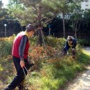 금정마을경로당 이미지