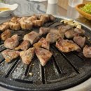국가대표부속구이