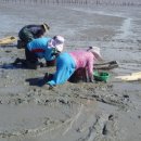 선정은하수꼬막마을 이미지