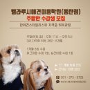 벨라루시애견미용학원 네이버블로그