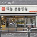 해봄동물병원 | 강북구 도봉동 동물병원 해봄동물병원 위치 오는길 후기