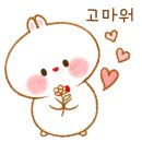 오더브레드 이미지