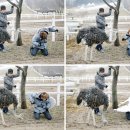 주니어목장 이미지