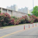 이곡역(3번출구) 이미지