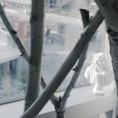 참샘미술학원 이미지