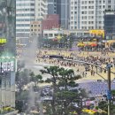 광 회집 이미지