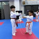 TM 태권도장 이미지