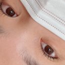 시라브로우 네이버블로그