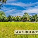 2845 | [남양주 맛집 추천!] 달빛새 베이커리앤카페 남양주 달빛새 카페, 자연 속 힐링 공간