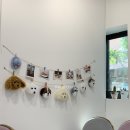 카페인스