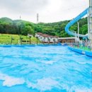 로만바스 수영장 네이버블로그
