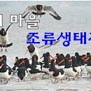 조류생태전시관 이미지