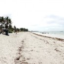 비치(Beach)