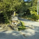 피노키오관광농원 이미지