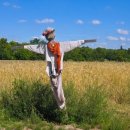 허수아비 이미지