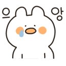 제일직업컨설팅