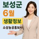 새보성인력사무소 이미지