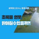 번성크린 | 연못청소, 물이 맑아지는 과정이 담긴 전문가의 실제 작업 후기, 이렇게 다릅니다!: 형제크린