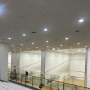 고양장미란체육관 스쿼시장 | 고양 소노 아레나 고양체육관 스쿼시 일일 이용후기