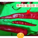 홍임식품 | 2026년 홍고추 후숙 기간은 며칠? 가정용 건조기로 말려본 실제 후기 (고추 건조 온도 총정리)