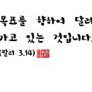 필리필리 이미지