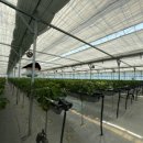 김동석농장 이미지