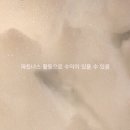신림동본가백순대&떡볶이 이미지