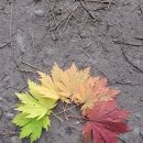 김진석자동차병원 이미지