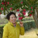 순천향매실마을 이미지