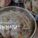 나라파출 이미지