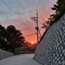 울릉벚꽃 | 뷰가 좋은 울릉도 게스트하우스 울릉벚꽃 숙박 후기