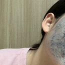 더홉 이미지