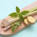 카페블루오션 이미지