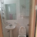 삼나무집펜션 이미지