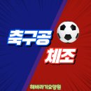 활기찬체조 | [해바라기요양원] 인지프로그램 - 실버체육(축구공 체조)