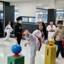 엠제이 태권도장 이미지