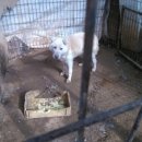 화성농장 이미지