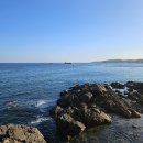 월내제2여자경로당 | 부산 기장 드라이브 코스 바다뷰 대형카페 커피맛집 웨이브온