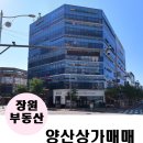 와이즈메디 이미지