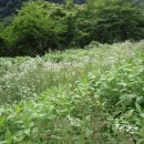 사평분교 이미지