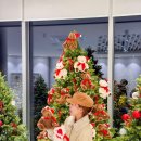 (주)노리틀 | 아이와 전라도 크리스마스 여행 추천 ❤️ 전남 전라남도 해남 혼자 여행 산이정원 입장료, 카페 야간개장