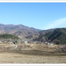 강촌에살고싶네 이미지