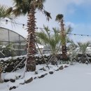 스테이오로지 이미지